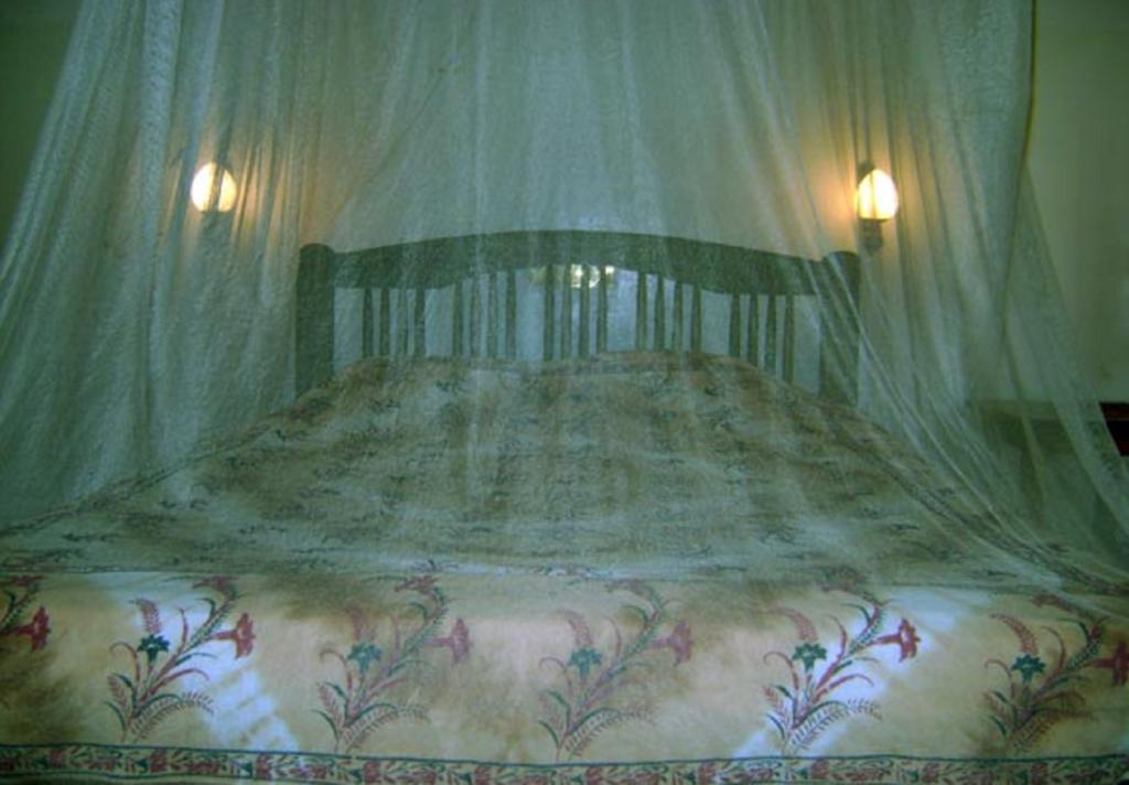 Palm Garden Home Stay Deiyannewela Pokoj fotografie